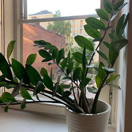 Big Studio Close To Center With Wifi Appartement Helsinki